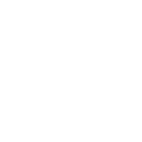 Antenatal Discomforts